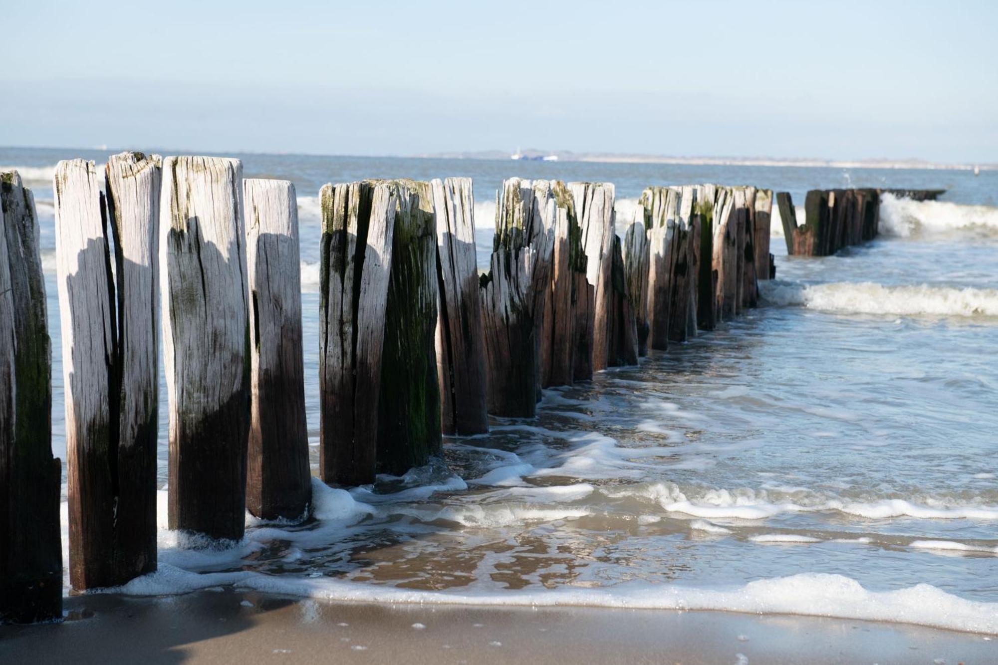 Kustverhuur, Park Scheldeveste, Zwin 005 ブレスケンス エクステリア 写真